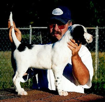 Lassy 2002 Pup #2